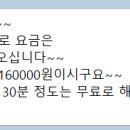 몽이네 펫택시