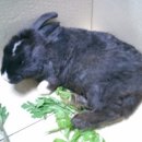 공덕119안전센터 이미지