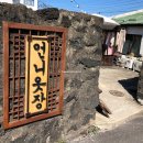 올레파머스월정 | 제주 자유여행 포토존 :: 월정리 :: 커플사진 & 우정사진 인생샷! / 올레파머스 제주 기념품가게 후기