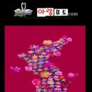 연못 속 풍경 이미지