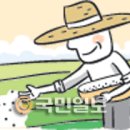 씨뿌리는농부