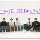 하이브 플러스 이미지