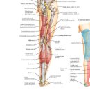 명인마취통증의학과의원 이미지