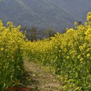 황산공원(황산B) 이미지