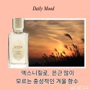 엑스 니힐로 스칼렛 샌드, 은근 많이 모르는 중성적인 겨울 향수