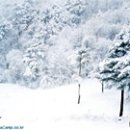 안흥목장 이미지