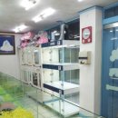 멍멍클럽 이미지