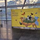 찾아가는국립극장-나는 재미있는 낙타예요 이미지