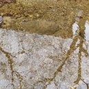 쉼터가든 이미지