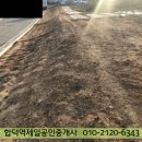 합덕시장 이미지