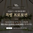 일요일(특별) 이미지