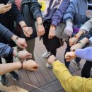 무장애숲 | 남산 하늘숲길 무장애 숲 체험 후기