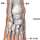 [行間穴][행간혈] 이미지