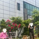 성심힐링노인요양원 이미지