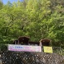 서원곡 백운사 앞 이미지