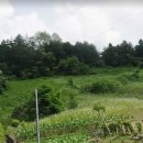 수산면행정복지센터 이미지