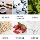 두피를 진정시키고 탈모 증상을 완화해주는 올리패스 HR101 어드밴스드 스칼프 앰플