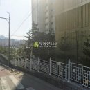 단대로23번길 Daum카페