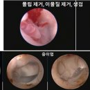 베트컴코리아(주) 이미지