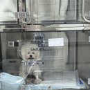 운정24시동물의료센터 이미지