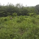 서정2리마을회관 이미지