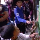 도림천역 이미지