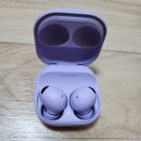 꽃분이PC | Z 플립 4 찐구매 후기!