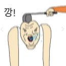 치킨이야기 - 안산시 상록구 동산고안길 16 | 치킨이야기