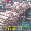 영어로 알게 된 짝퉁 왕국의 뒷이야기. bestkorea(회원) 이미지