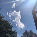 고고렌트카주 이미지