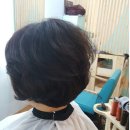 미미살롱 5.5 이미지