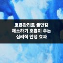 365위례두루미부부한의원 | 호흡관리로 불안감 해소하기 호흡이 주는 심리적 안정 효과