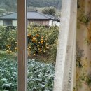 P-7806 | 제주 에어비앤비 애월 감성 숙소, 오늘도제주 한경 애월 후기