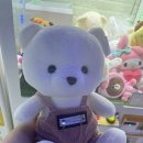 뽀끼 BOMB 이미지