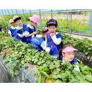 길음성가어린이집 이미지