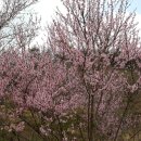 자현축산 이미지