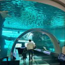 국립해양박물관 | 부산 아이랑 가볼만한곳 놀거리 국립해양박물관 후기!