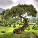 아침의 향기 이미지