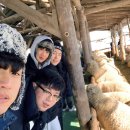 가오목장 이미지