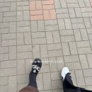 씨앤씨치과의원 이미지