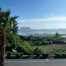 호텔 서귀피안 | 서귀포 숙소 추천 호텔서귀피안 오션뷰 조식 내돈내산 후기