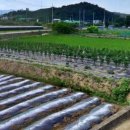 청통농장 이미지