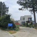 카페베리 앞 도로 티스토리