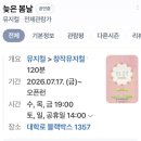 봄날 | 뮤지컬 늦은봄날 후기
