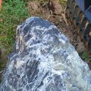 청일중기 이미지