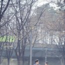 디어썸 이미지