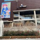 돈키호테-무식한 소 이미지