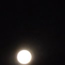 소노벨비발디파크 이미지