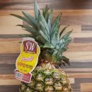 한진청과 이미지