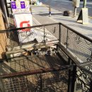 금비동물병원 이미지